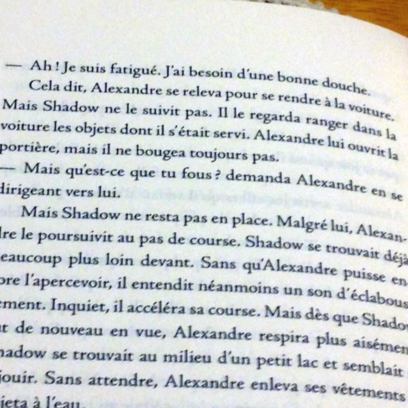 French Language, Ombre by Nathalie Parent - Picture 3 of 7